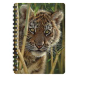 Obrázek z Notes 3D 11x14cm - tygr hnědý (10) 